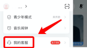 网易云音乐怎么实名认证？网易云音乐实名认证教程